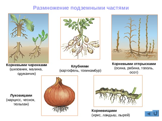 Как войти в кракен через тор